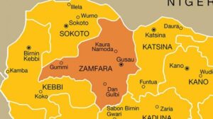 Bandits in zamfara released Colonel after Ransom